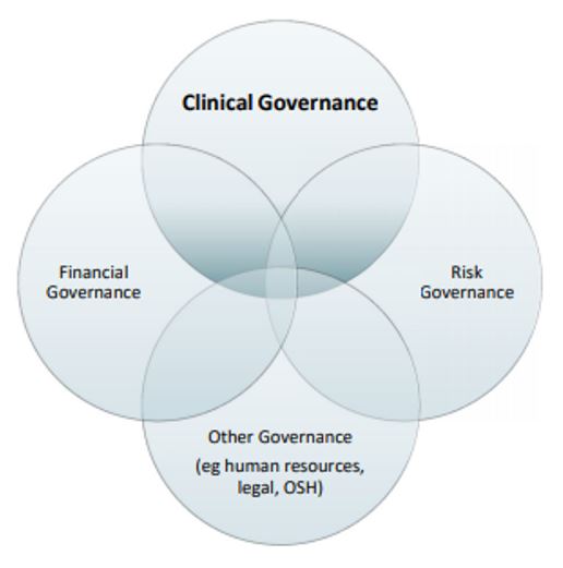 Clinical Governance And Patient Safety