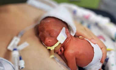 Baby Bowie 'kangaroo' time