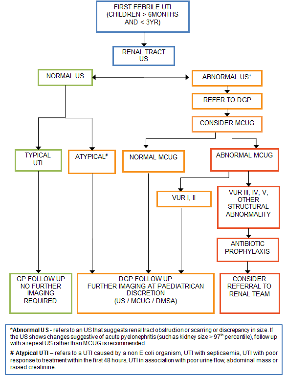 Uti Investigations Flowchart