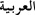Arabic, written in Arabic script (Naskh)