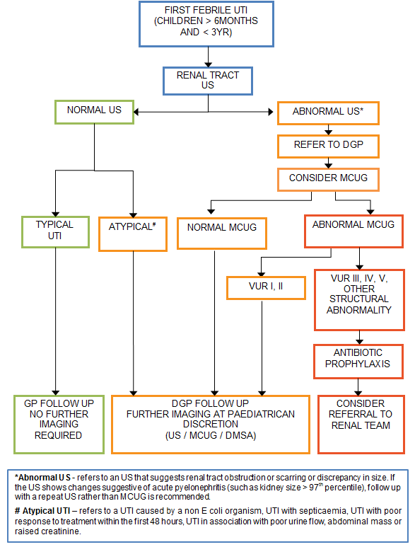 Urinary tract infection investigations flowchart
