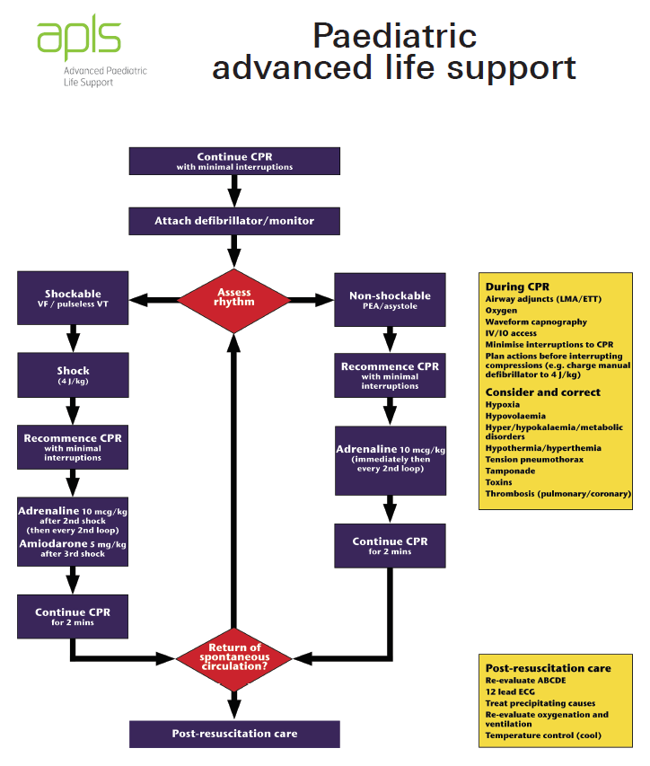 pediatric advanced life support algorithms