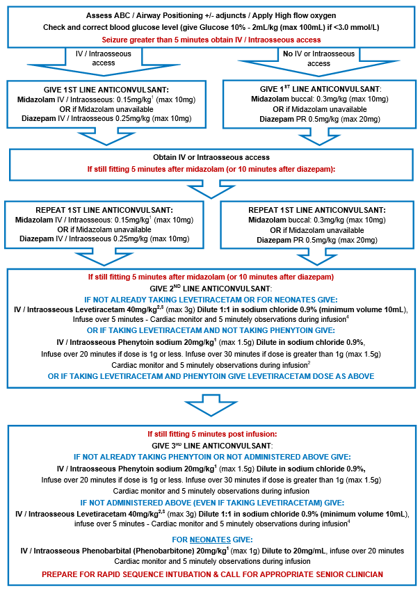Seizure Management Status Epilepticus Critical Care Clinics