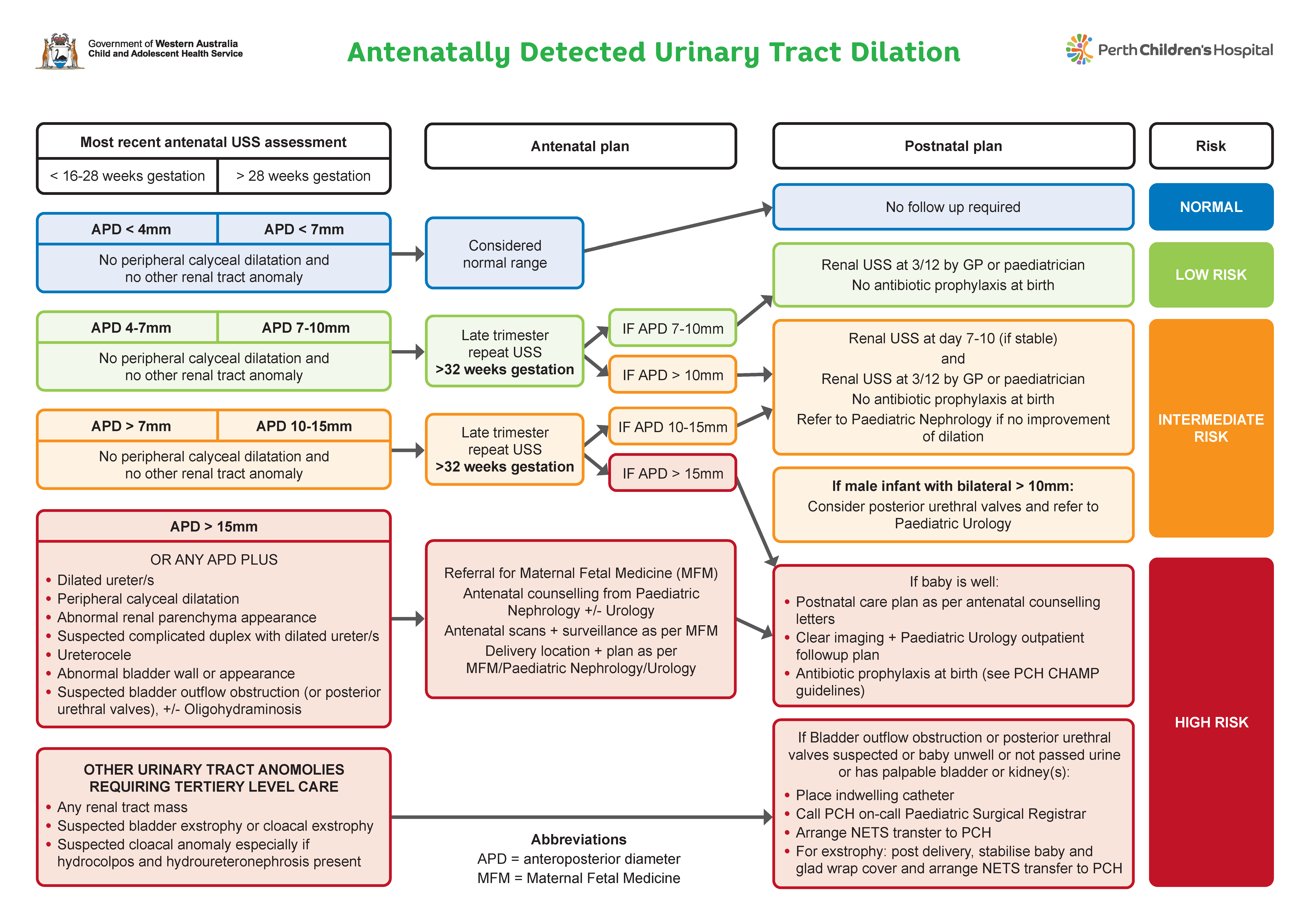 A clinical flowchart relating to antenatally detected urinary tract dilation