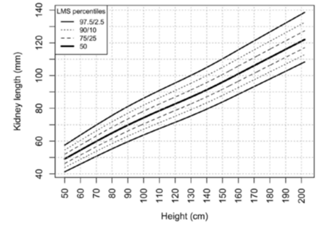 Paediatric normative renal length percentiles based on height/length